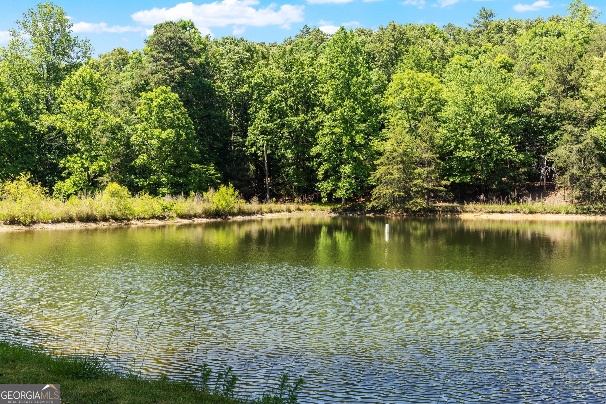 3 bedroom, 3 bathroom, 2,241 sq ft cabin,single family residence for sale at 85 Misty Hollow Ridge, Ellijay, GA 30536 — photo 3