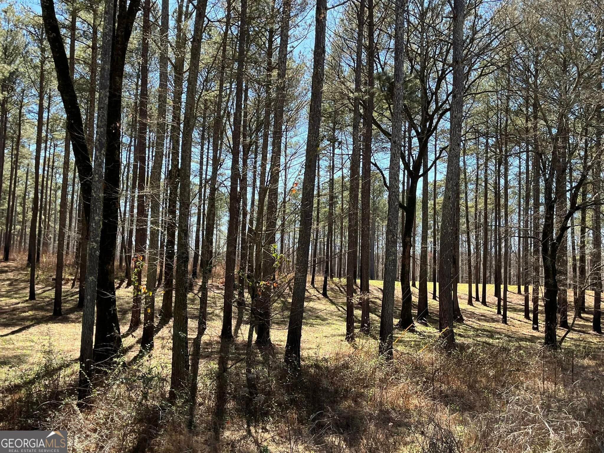residential lot for sale at 424 Laurel Road, Carrollton, GA 30117 — photo 2