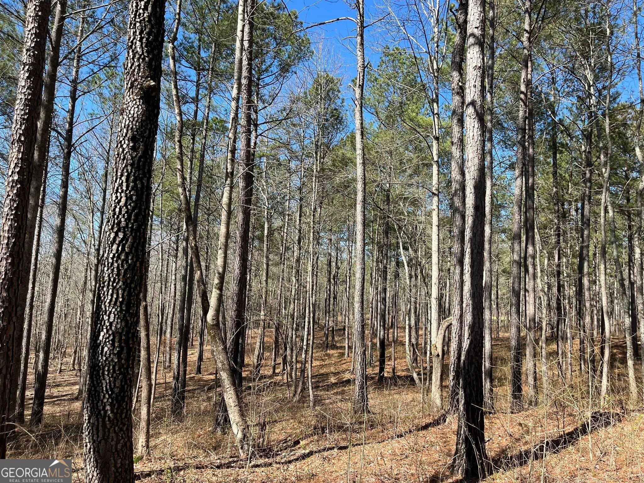 residential lot for sale at 424 Laurel Road, Carrollton, GA 30117 — photo 6