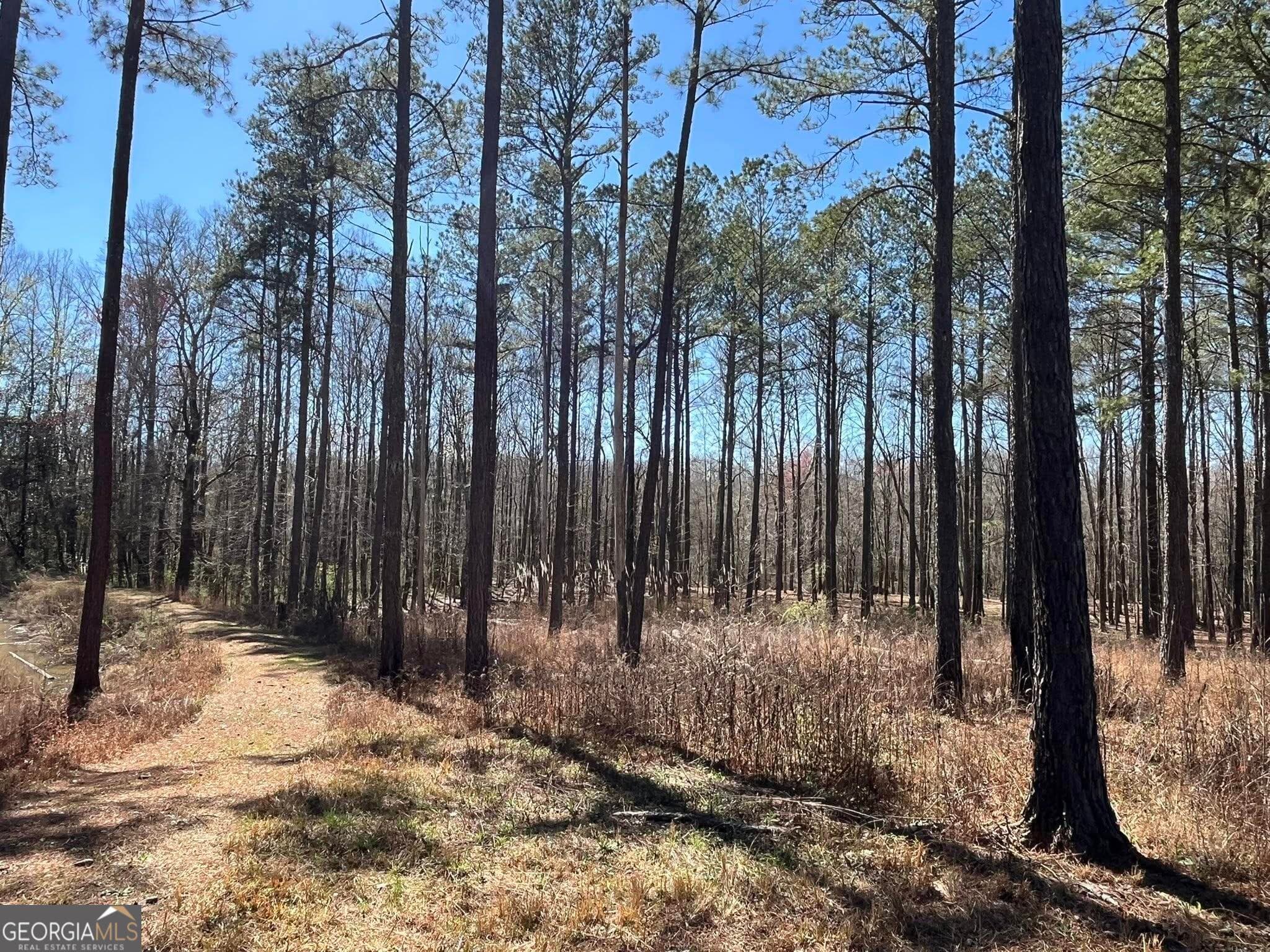 residential lot for sale at 424 Laurel Road, Carrollton, GA 30117 — photo 7