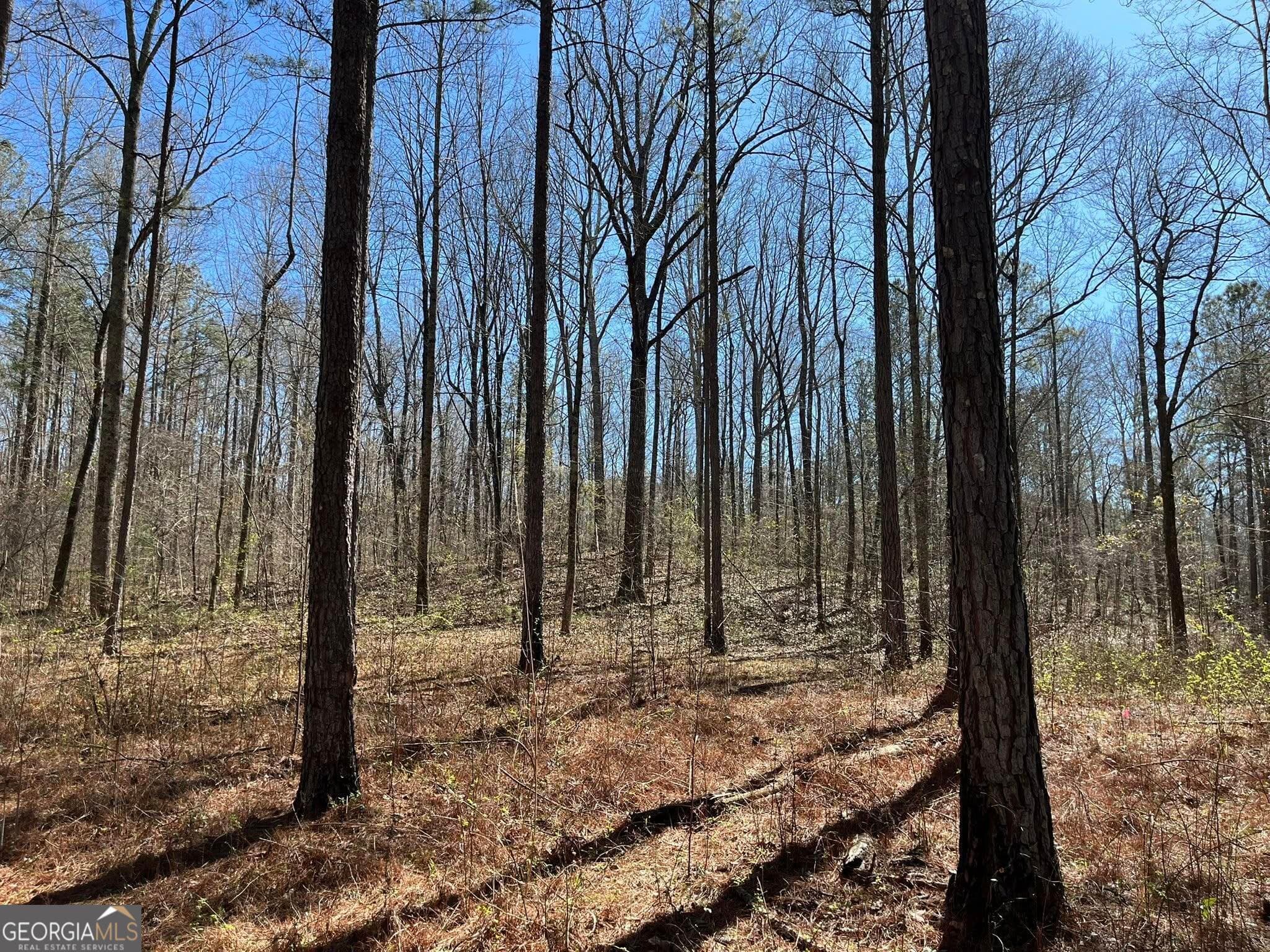 residential lot for sale at 424 Laurel Road, Carrollton, GA 30117 — photo 3