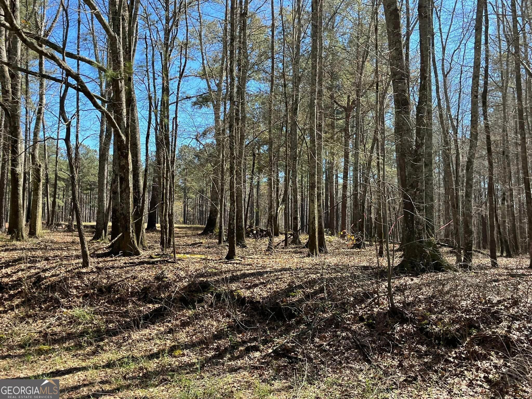 residential lot for sale at 424 Laurel Road, Carrollton, GA 30117 — photo 1 of 20