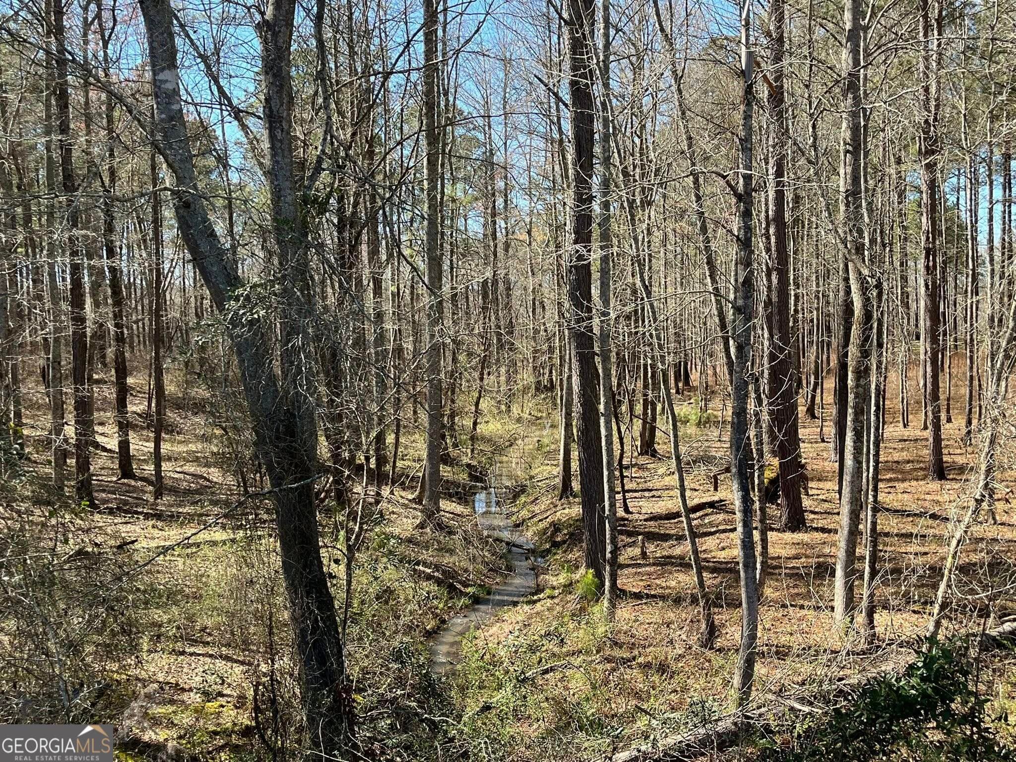 residential lot for sale at 424 Laurel Road, Carrollton, GA 30117 — photo 5