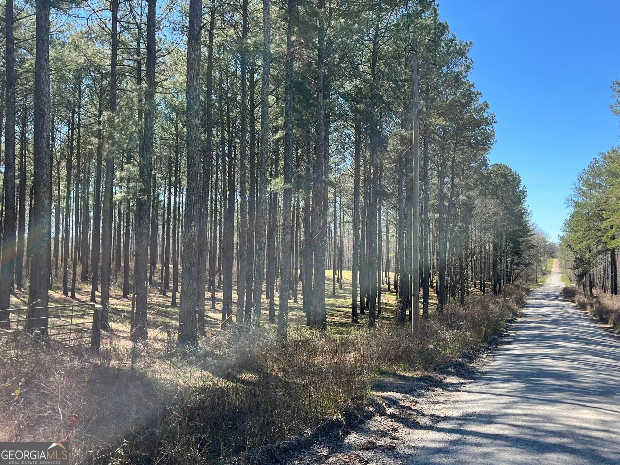 residential lot for sale at 424 Laurel Road, Carrollton, GA 30117 — photo 9