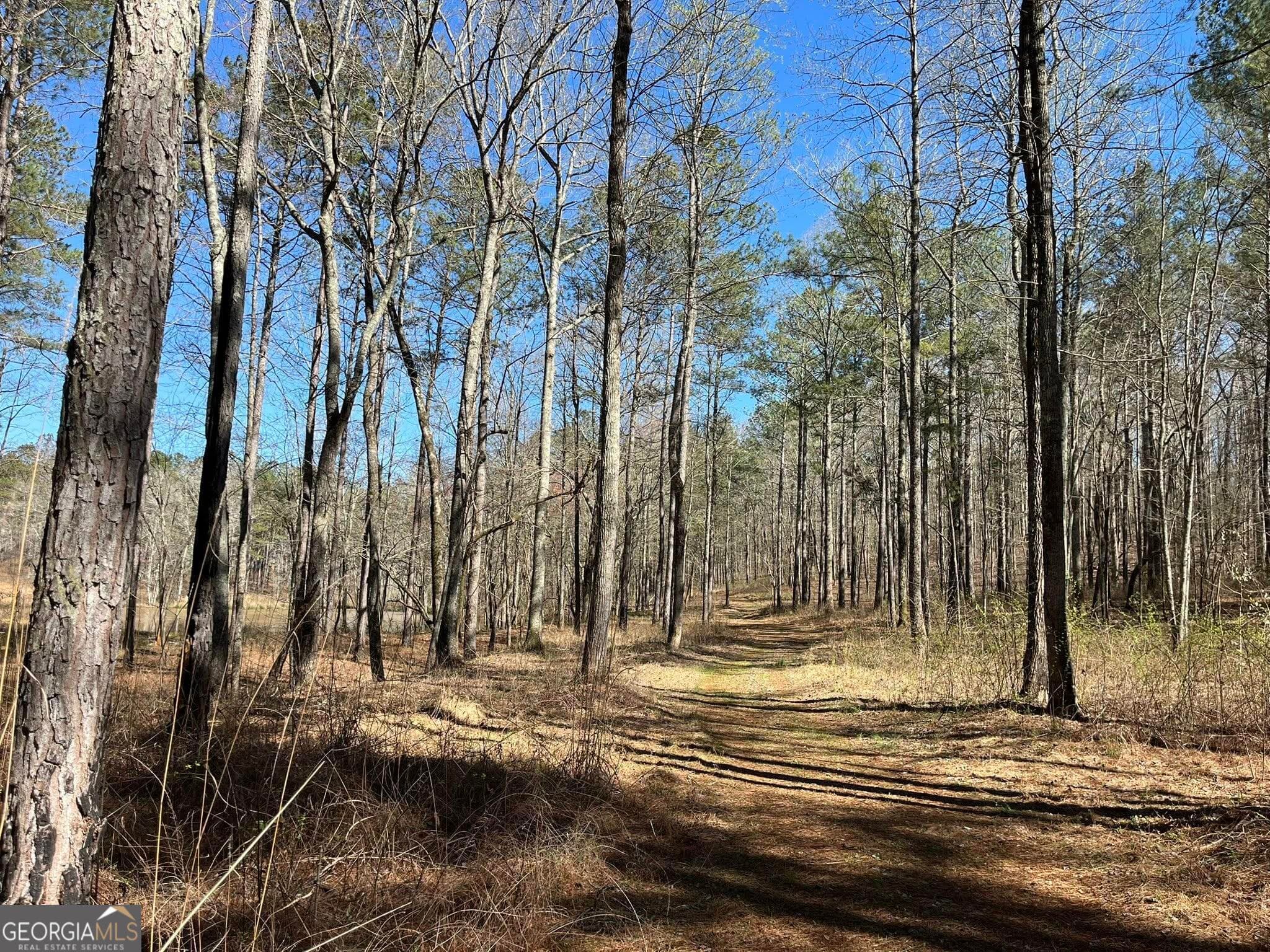 residential lot for sale at 424 Laurel Road, Carrollton, GA 30117 — photo 10