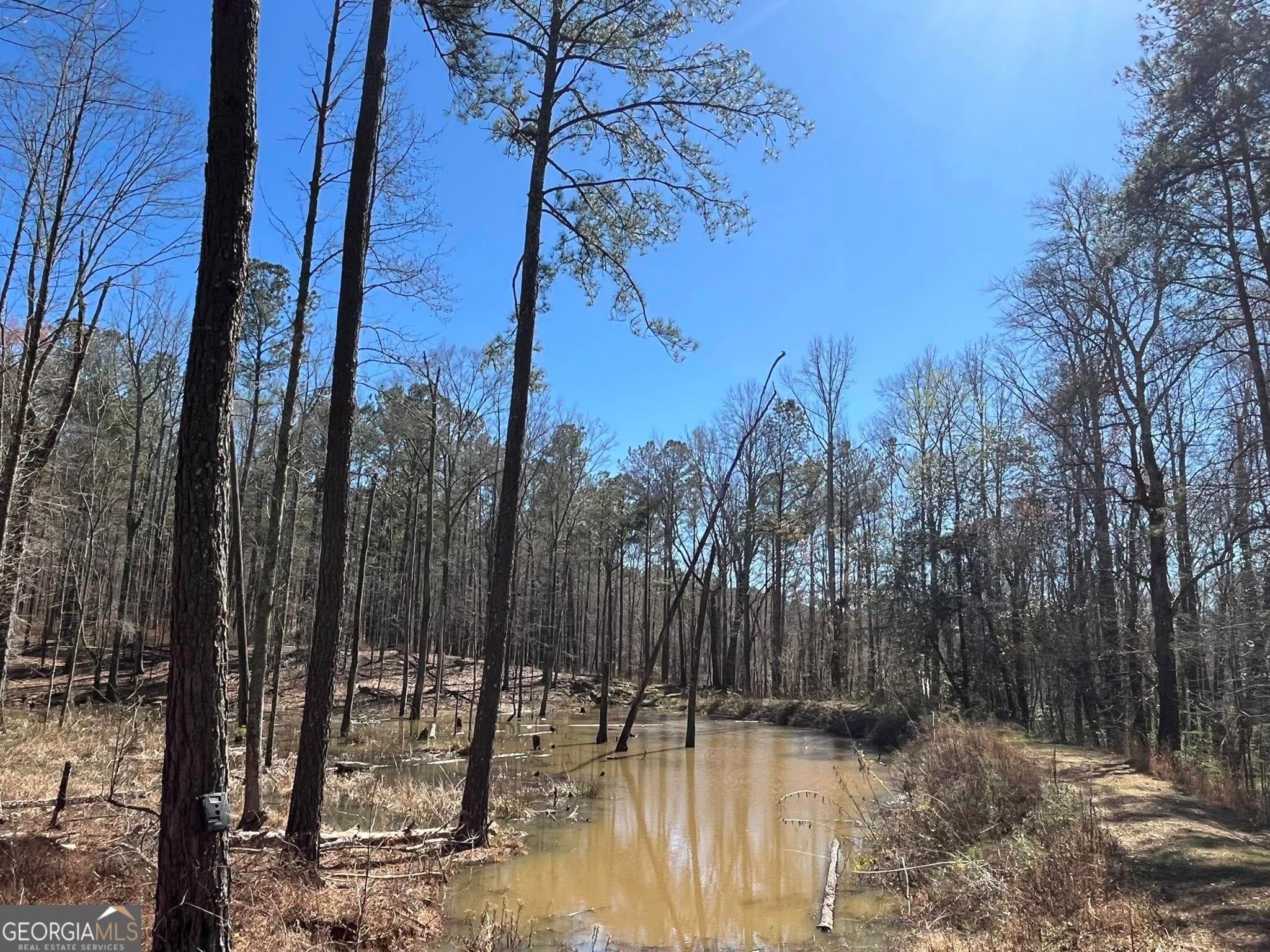 residential lot for sale at 424 Laurel Road, Carrollton, GA 30117 — photo 4