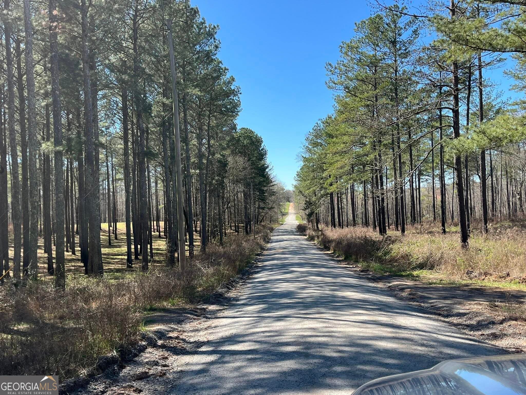 residential lot for sale at 424 Laurel Road, Carrollton, GA 30117 — photo 8