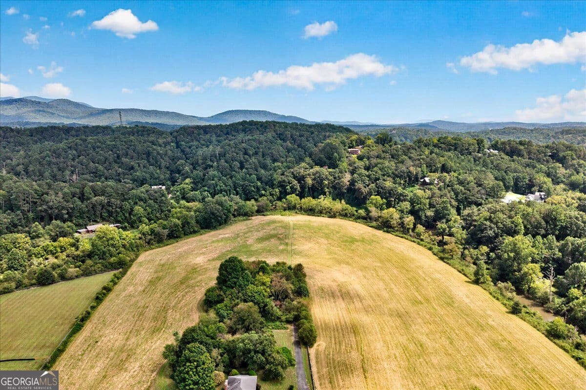 unimproved land for sale at 0 River Street, Ellijay, GA 30540 — photo 6