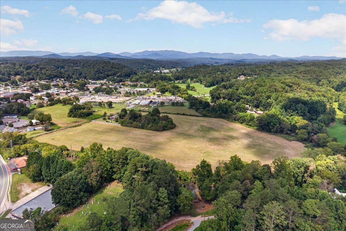 unimproved land for sale at 0 River Street, Ellijay, GA 30540 — photo 3