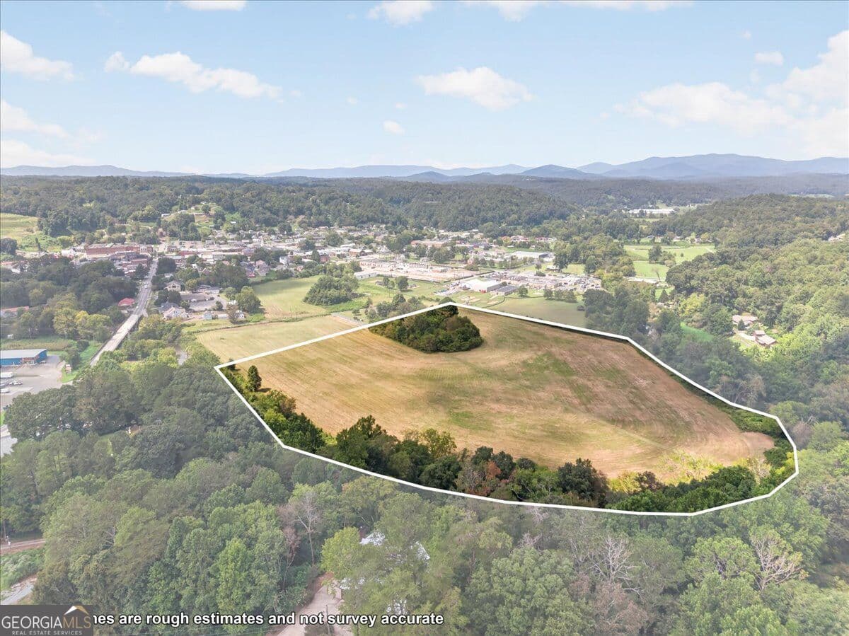 unimproved land for sale at 0 River Street, Ellijay, GA 30540 — photo 1 of 9