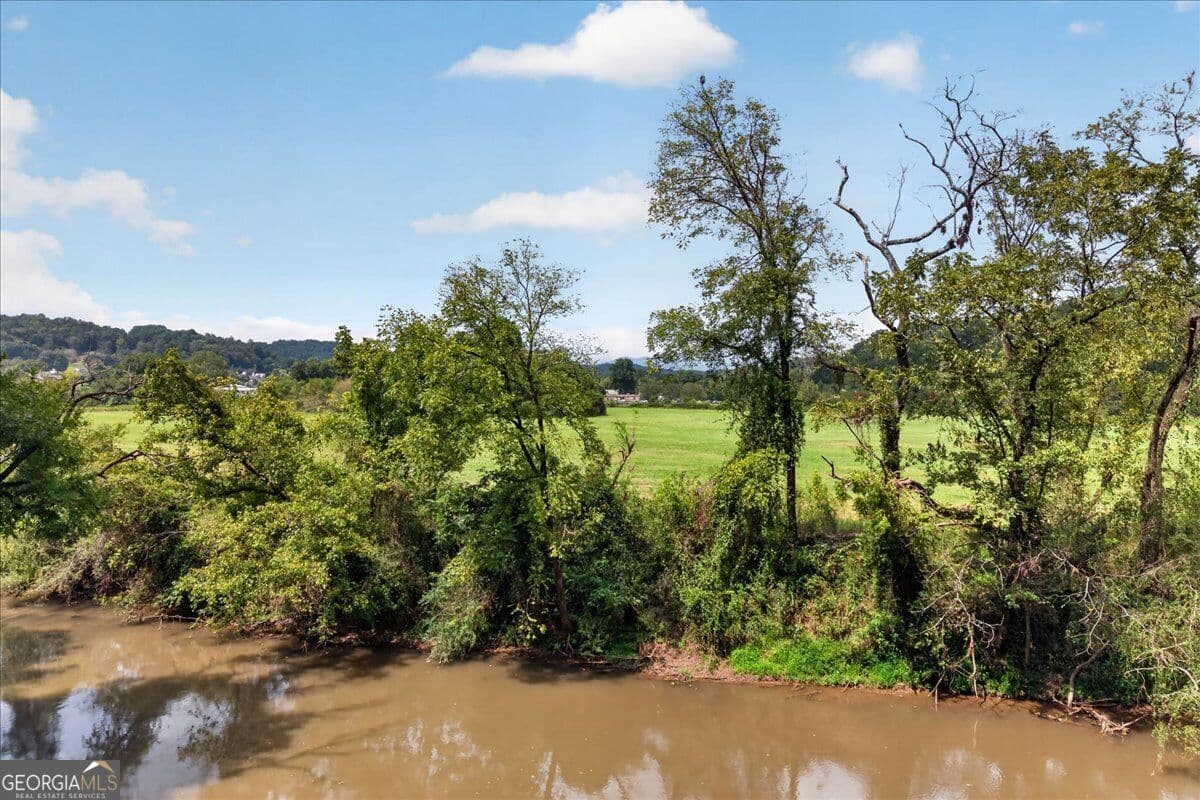 unimproved land for sale at 0 River Street, Ellijay, GA 30540 — photo 8