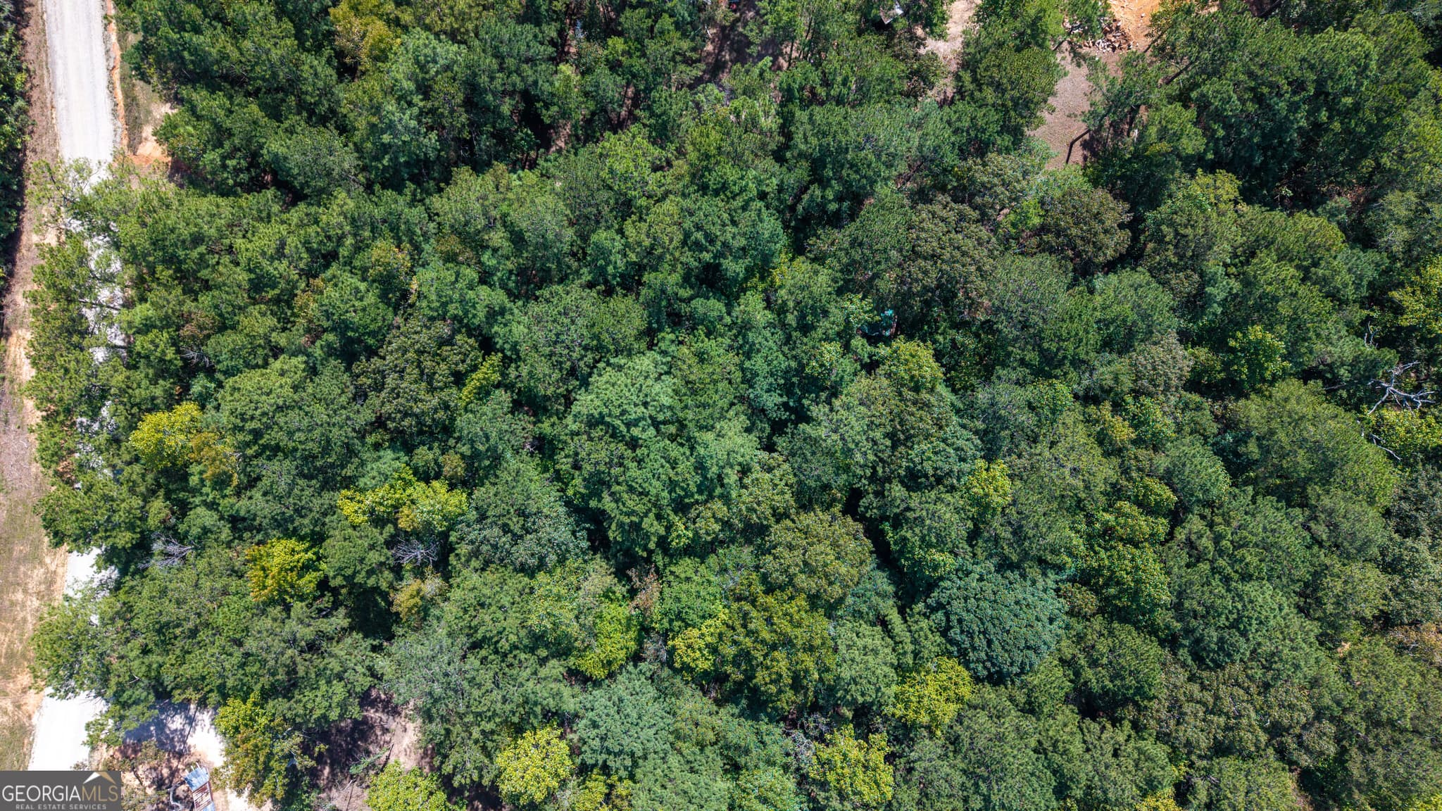 residential lot for sale at 1107 N State Line Road, Lagrange, GA 30240 — photo 5