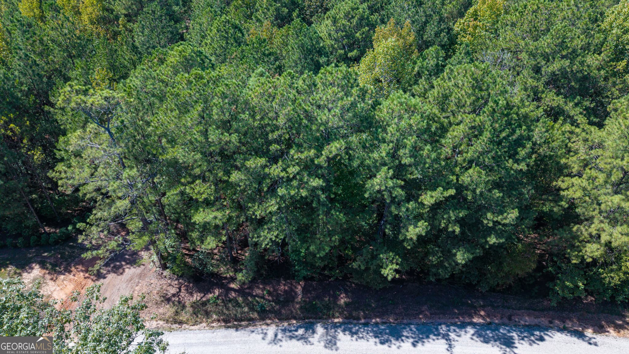 residential lot for sale at 1107 N State Line Road, Lagrange, GA 30240 — photo 4