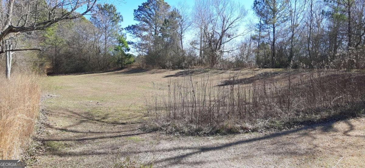 2 bedroom, 1 bathroom, 1,120 sq ft single family residence for sale at 11953 Henderson Mountain Road, Fairmount, GA 30139 — photo 6
