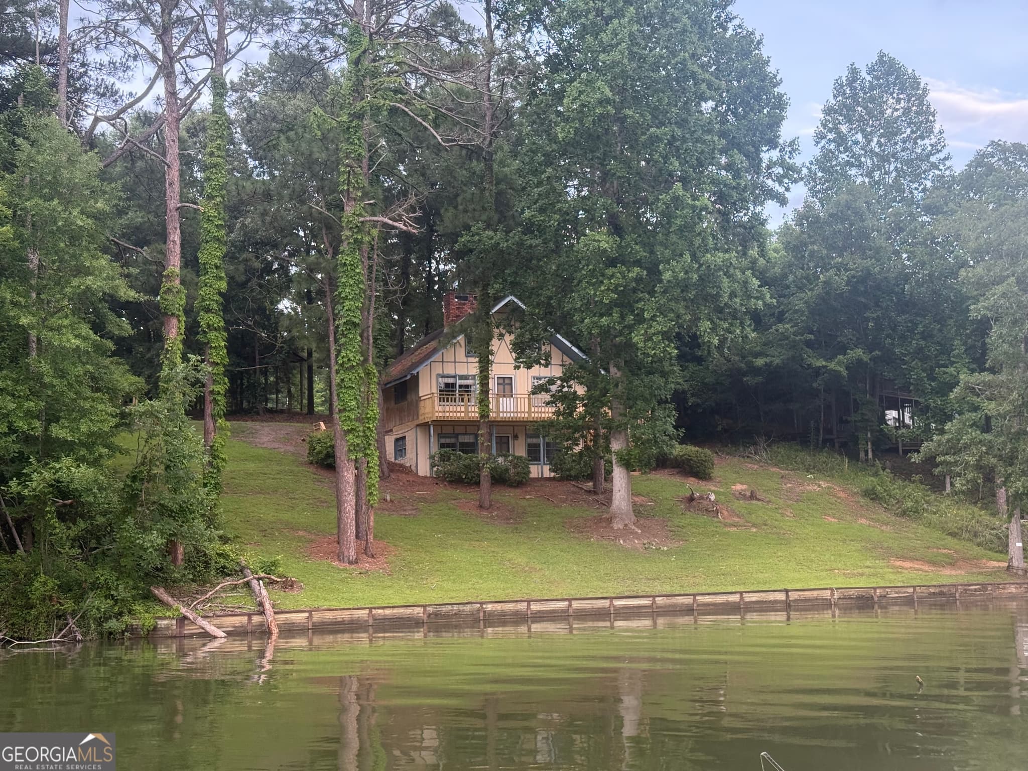 3 bedroom, 2.5 bathroom, 3,331 sq ft single family residence for sale at 460 Lakeview Road, Abbeville, AL 36310