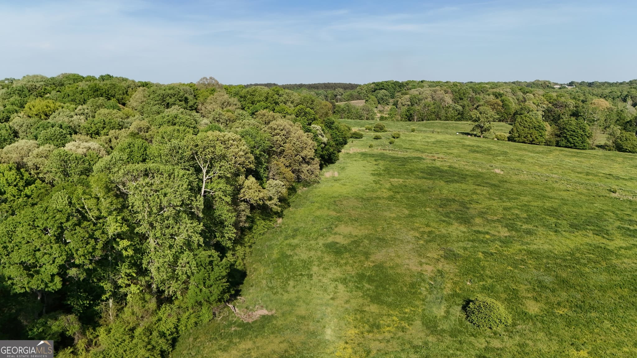 unimproved land for sale at 26 Jess Lane, Commerce, GA 30530 — photo 7