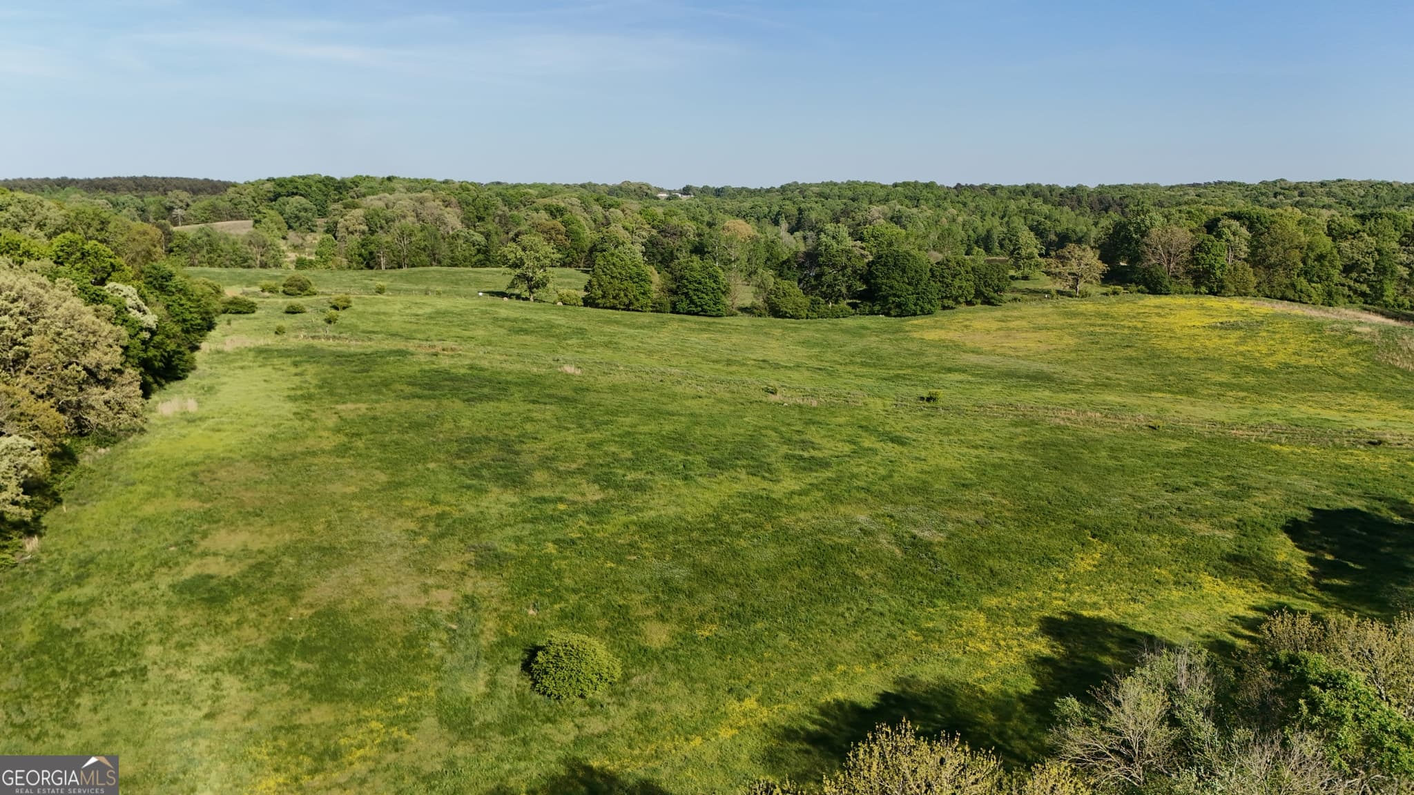 unimproved land for sale at 26 Jess Lane, Commerce, GA 30530 — photo 8