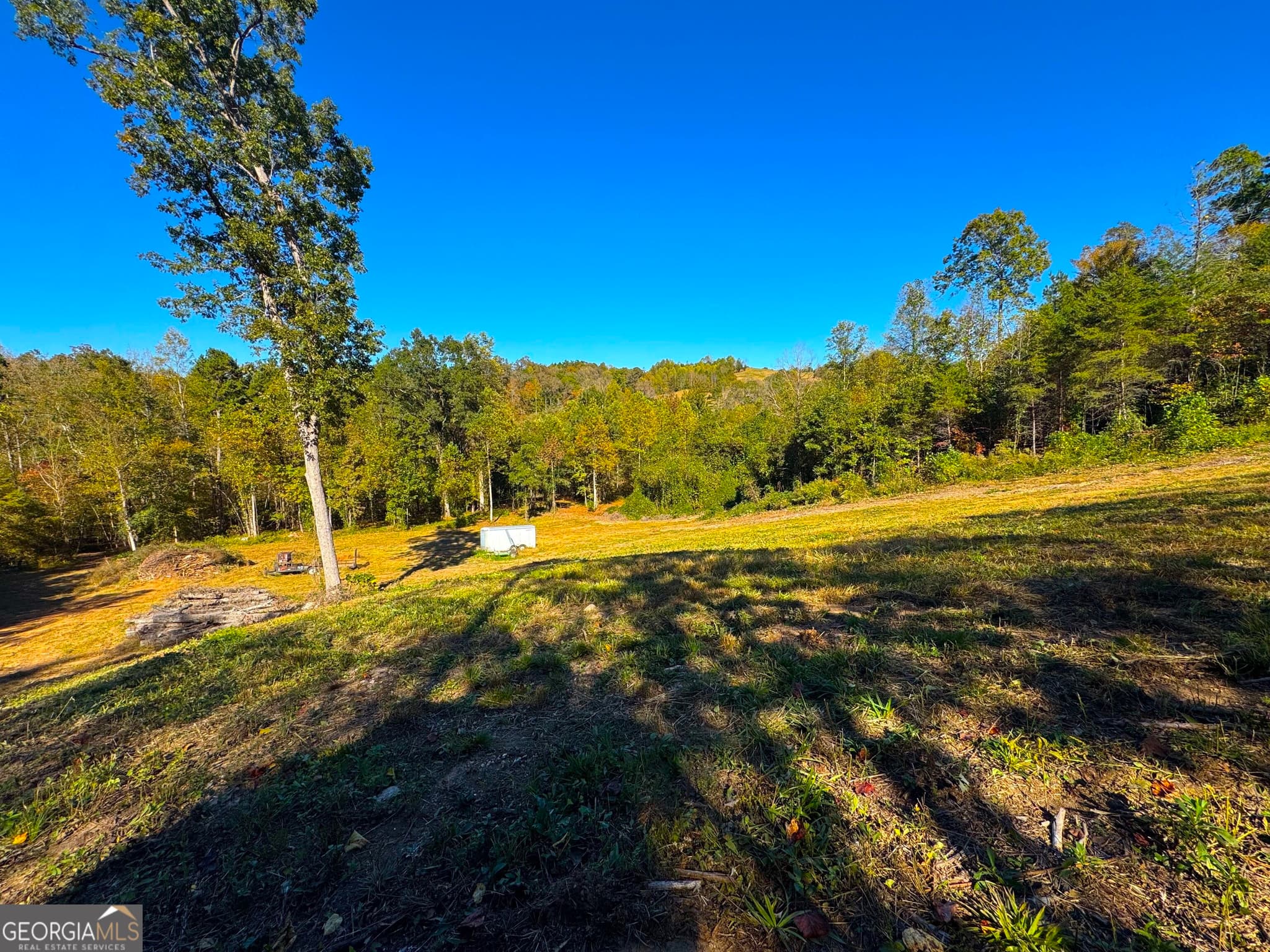 agriculture for sale at 0 River Road, Westminster, SC 29693 — photo 6