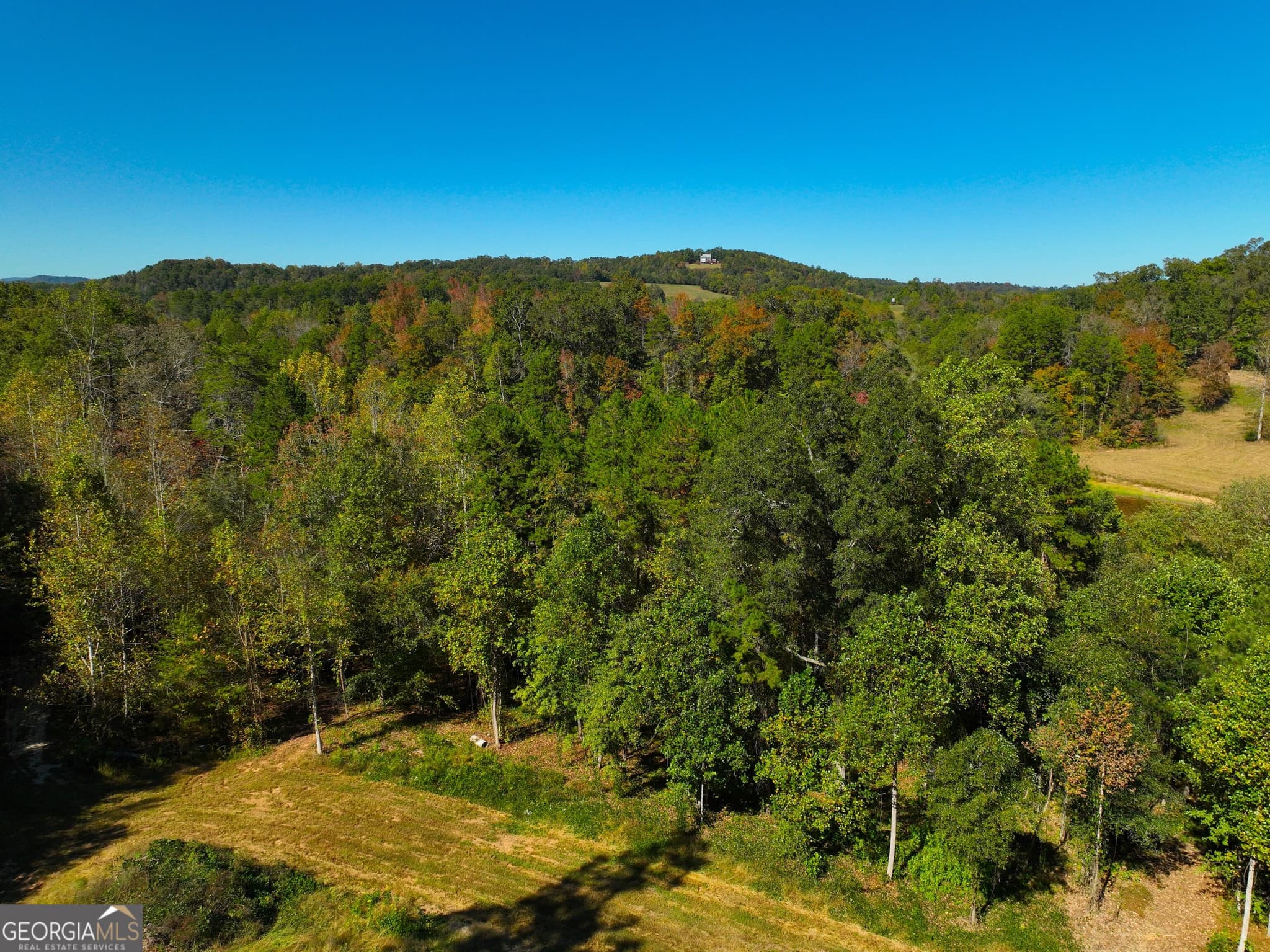 agriculture for sale at 0 River Road, Westminster, SC 29693 — photo 3