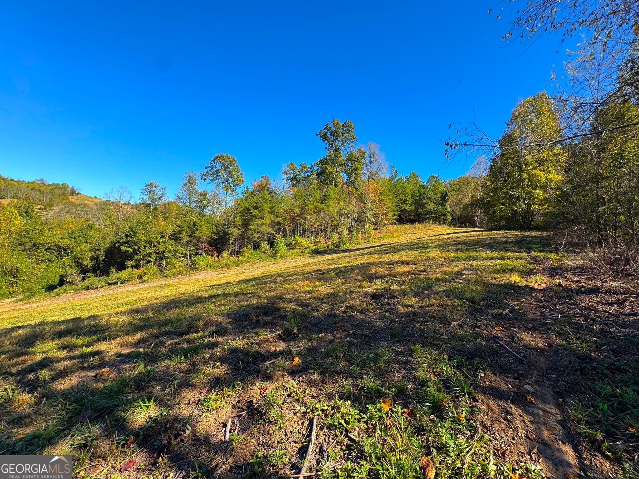 agriculture for sale at 0 River Road, Westminster, SC 29693 — photo 5