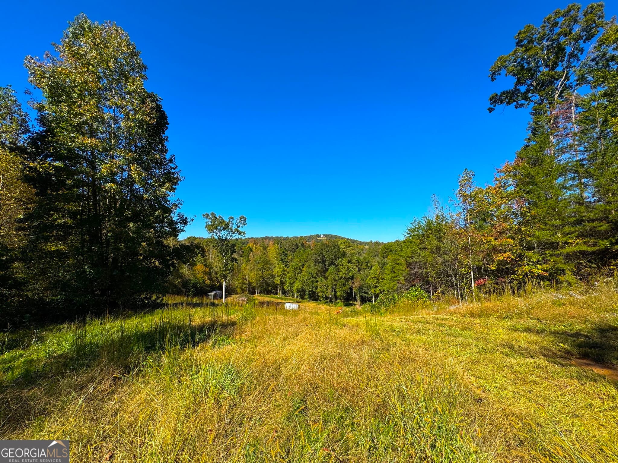 agriculture for sale at 0 River Road, Westminster, SC 29693 — photo 10