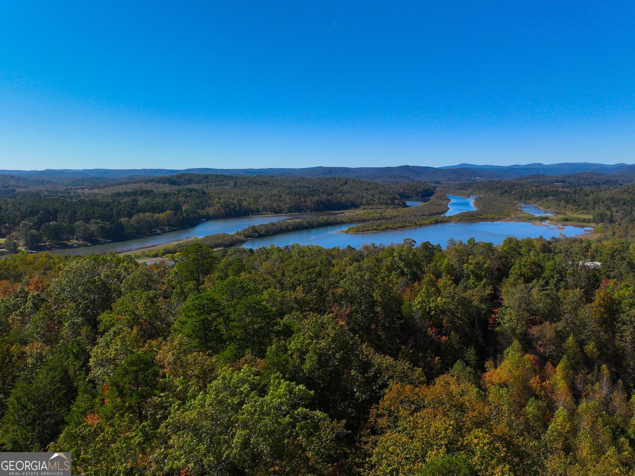agriculture for sale at 0 River Road, Westminster, SC 29693 — photo 4