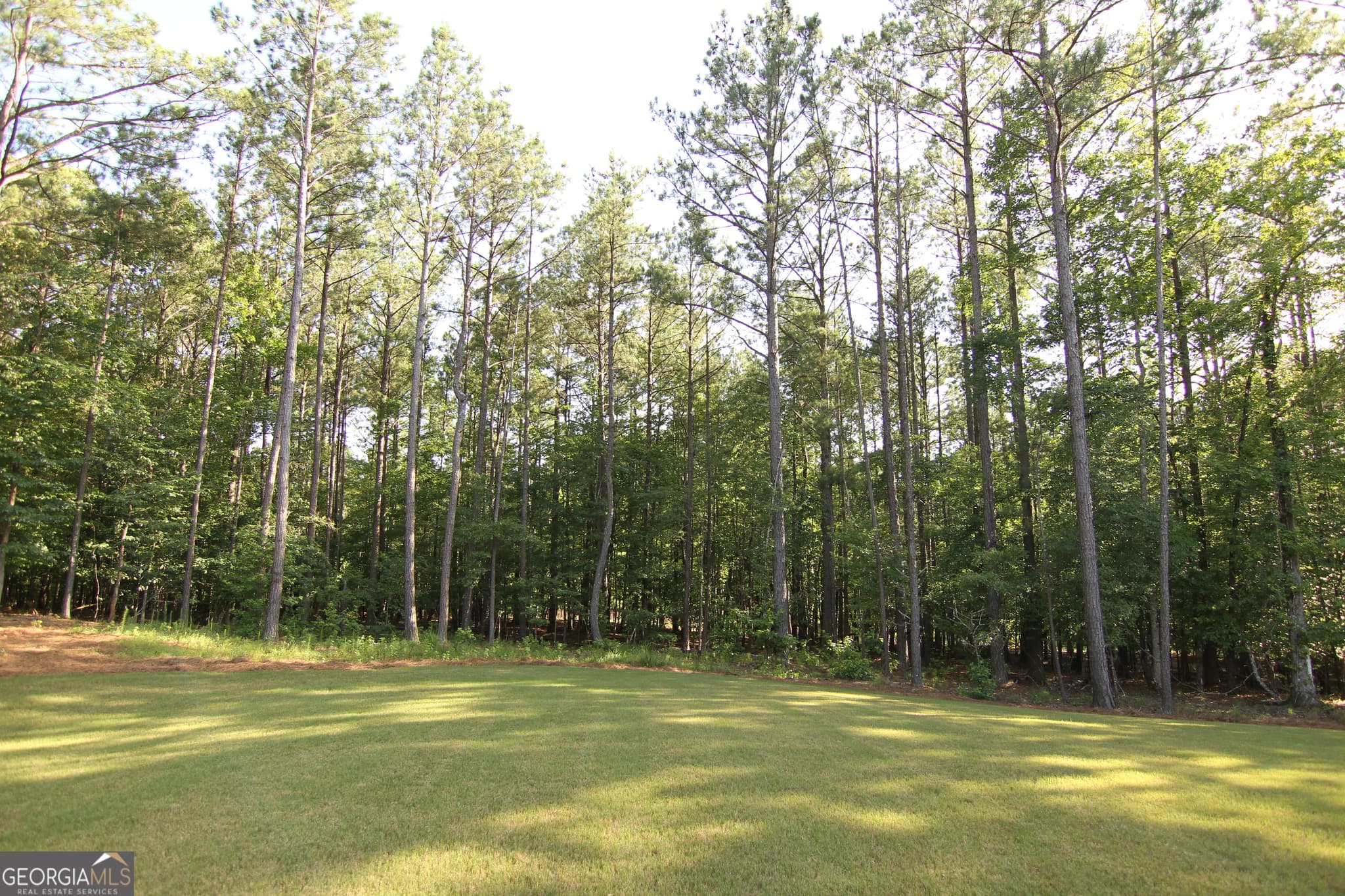 5 bedroom, 5.5 bathroom, 3,722 sq ft single family residence for sale at 465 Buddy West Road, Newnan, GA 30263 — photo 7