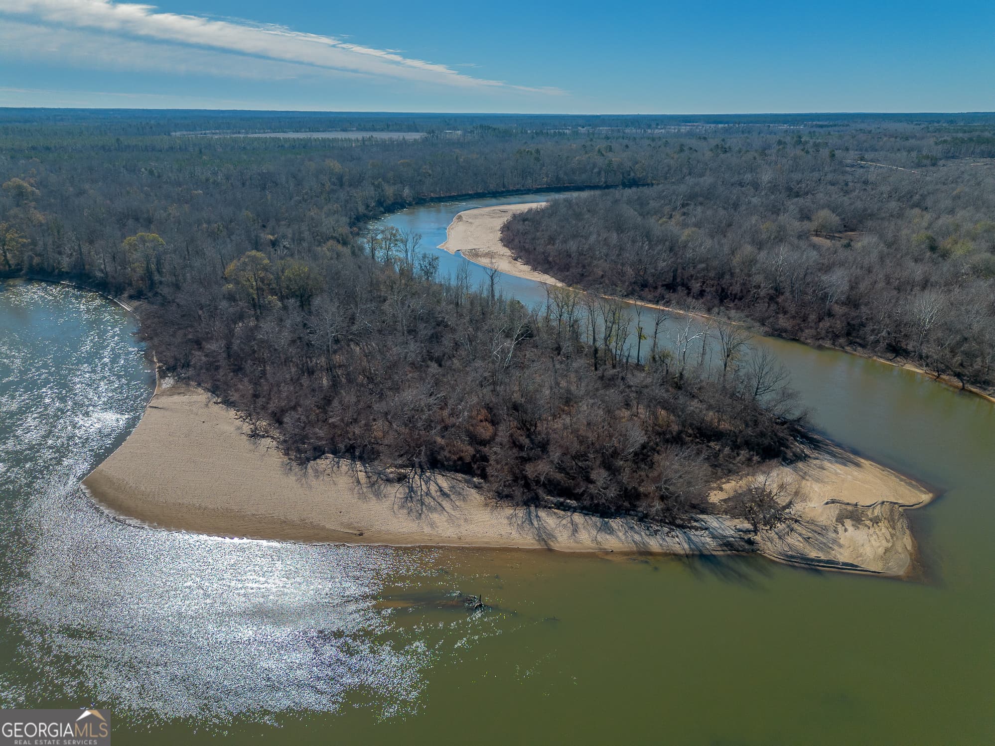 agriculture for sale at 0 Oconee River, Bells Ferry Highway, Lumber City, GA 31549 — photo 2