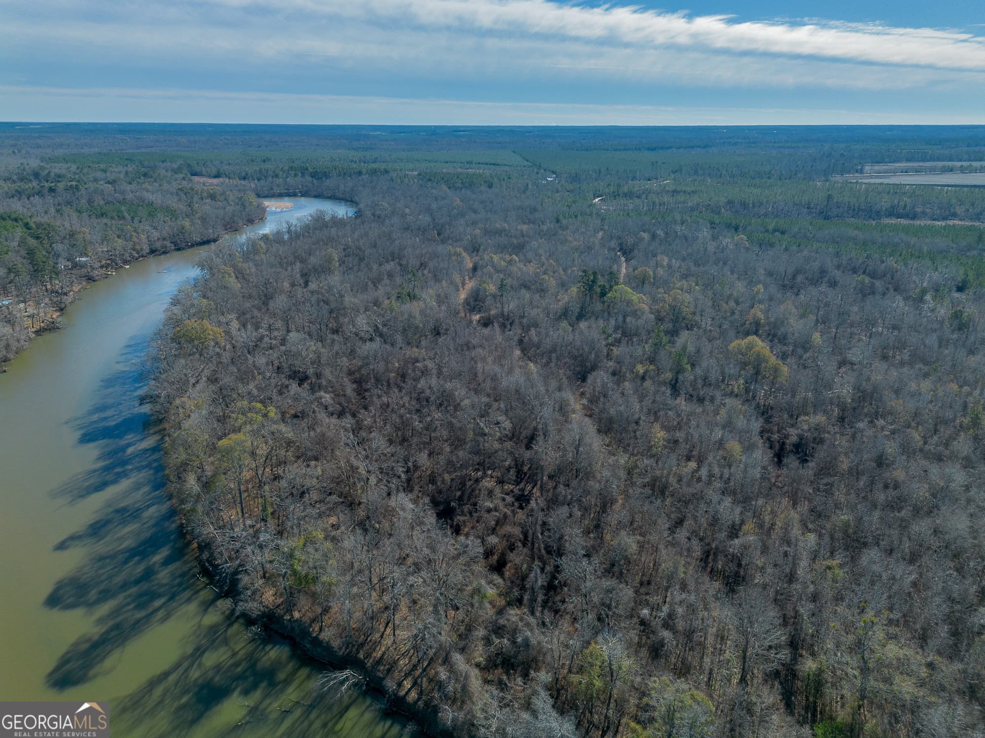 agriculture for sale at 0 Oconee River, Bells Ferry Highway, Lumber City, GA 31549 — photo 6