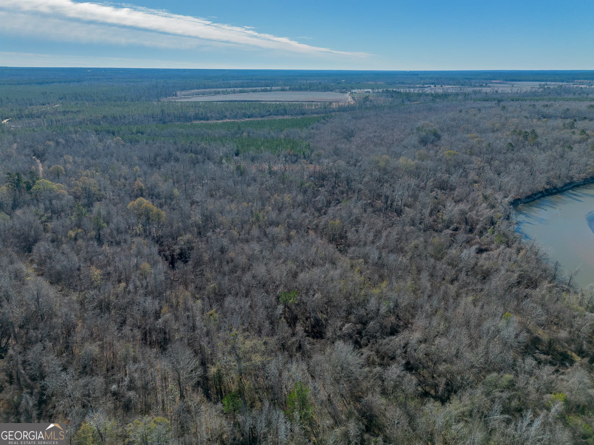 agriculture for sale at 0 Oconee River, Bells Ferry Highway, Lumber City, GA 31549 — photo 5