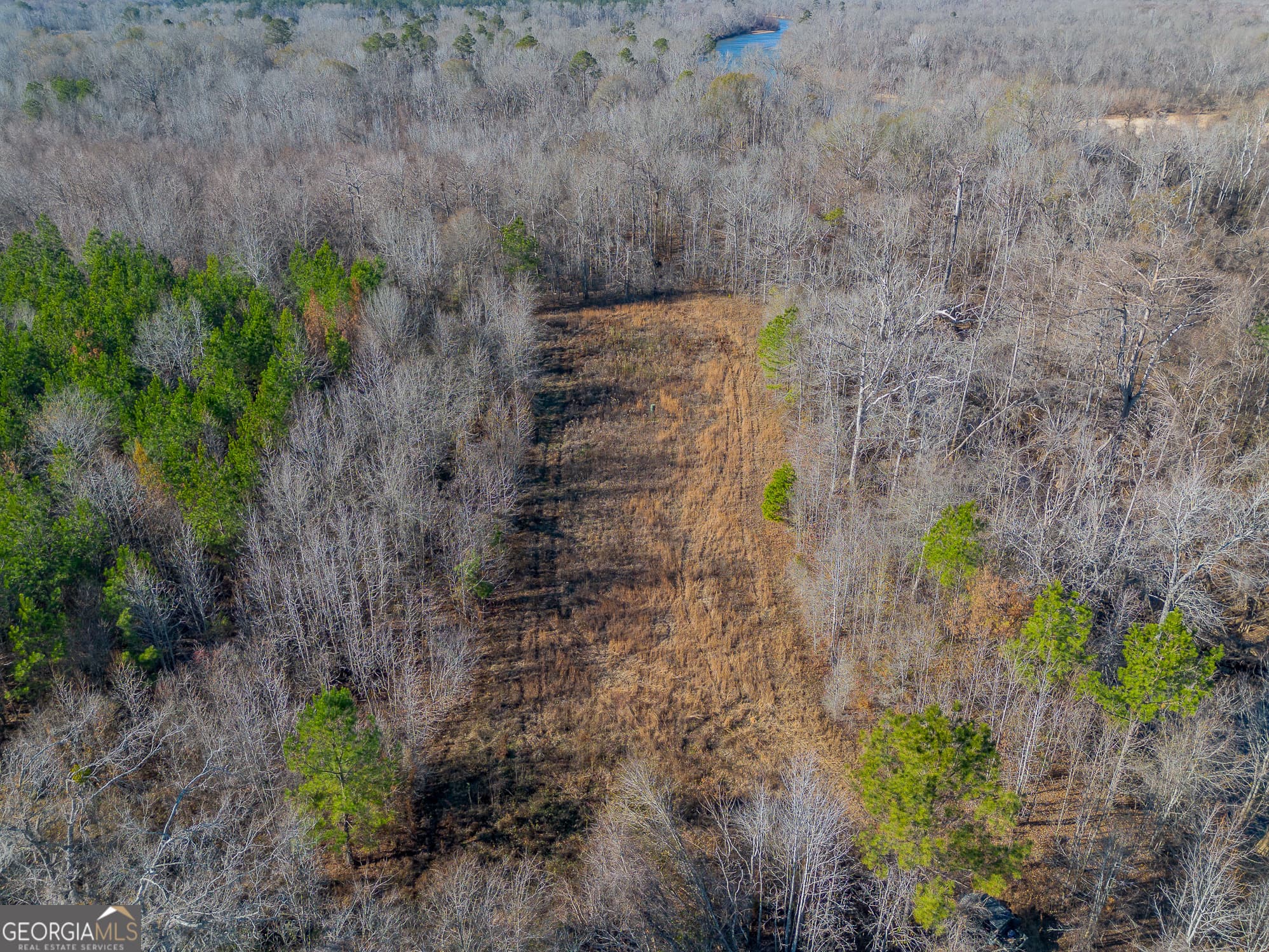agriculture for sale at 0 Oconee River, Bells Ferry Highway, Lumber City, GA 31549 — photo 9