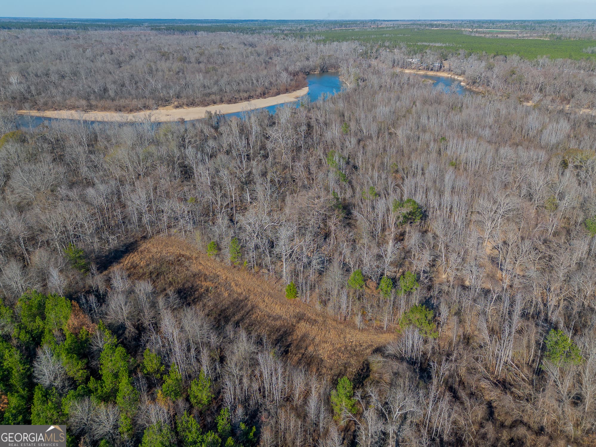 agriculture for sale at 0 Oconee River, Bells Ferry Highway, Lumber City, GA 31549 — photo 10