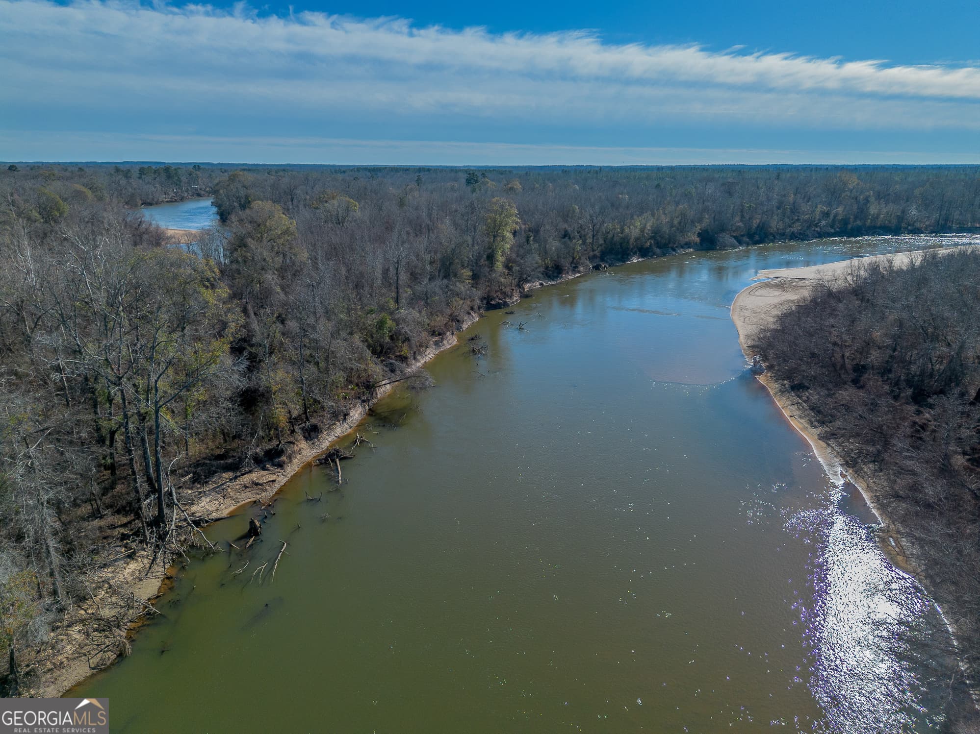 agriculture for sale at 0 Oconee River, Bells Ferry Highway, Lumber City, GA 31549 — photo 4