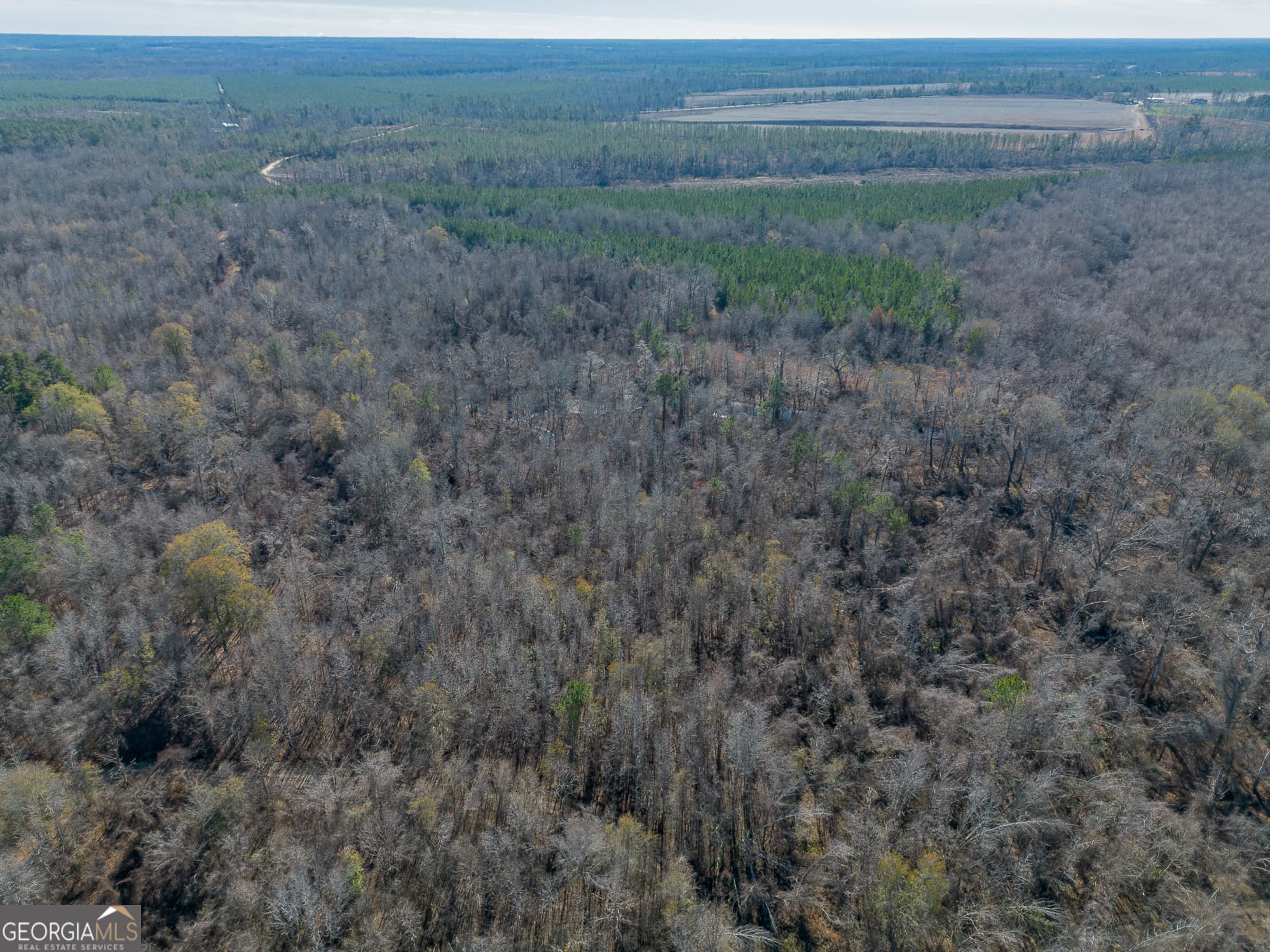 agriculture for sale at 0 Oconee River, Bells Ferry Highway, Lumber City, GA 31549 — photo 8
