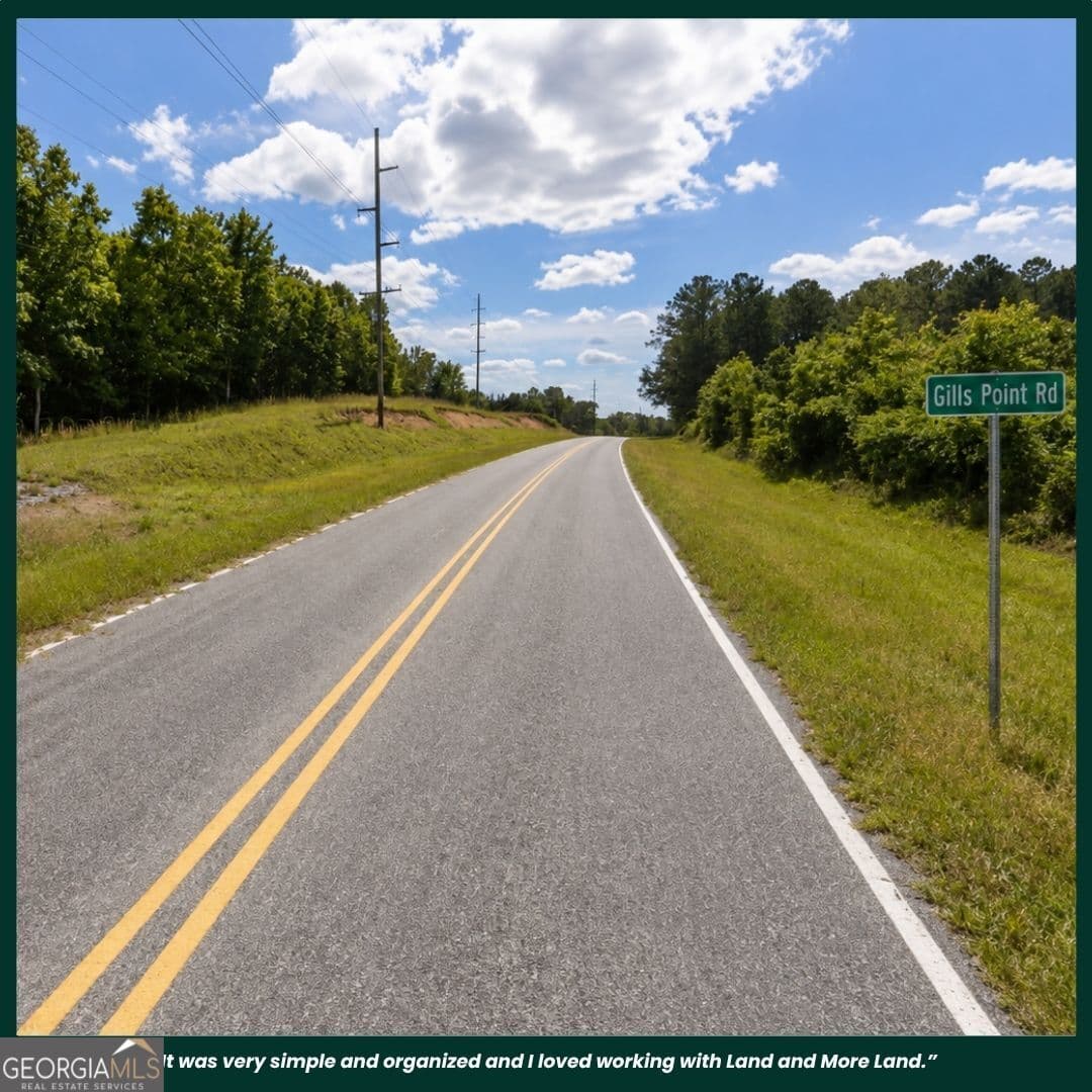 agriculture for sale at 0 Gill Point Road, Tignall, GA 30668 — photo 2