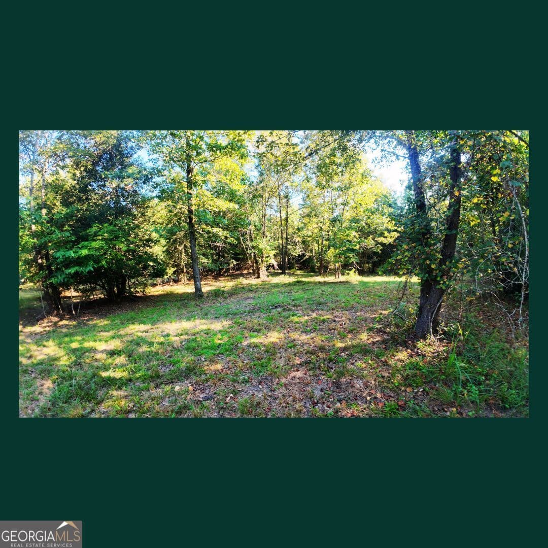agriculture for sale at 0 Gill Point Road, Tignall, GA 30668 — photo 6
