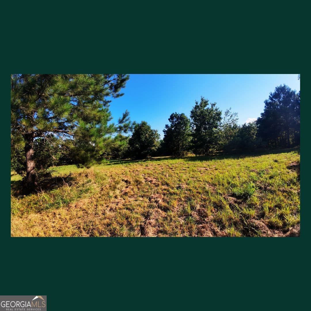 agriculture for sale at 0 Gill Point Road, Tignall, GA 30668 — photo 7