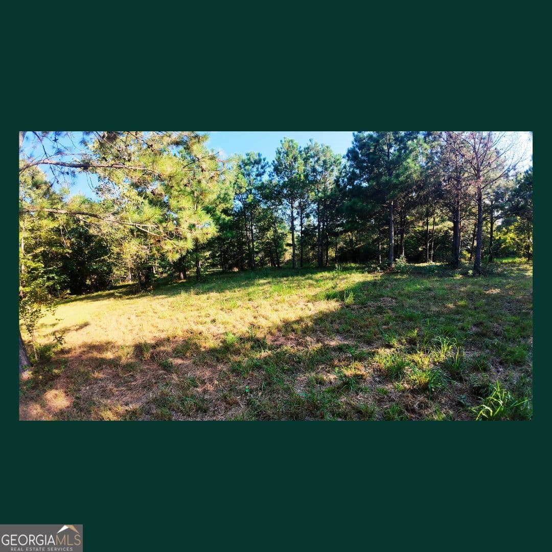 agriculture for sale at 0 Gill Point Road, Tignall, GA 30668 — photo 3