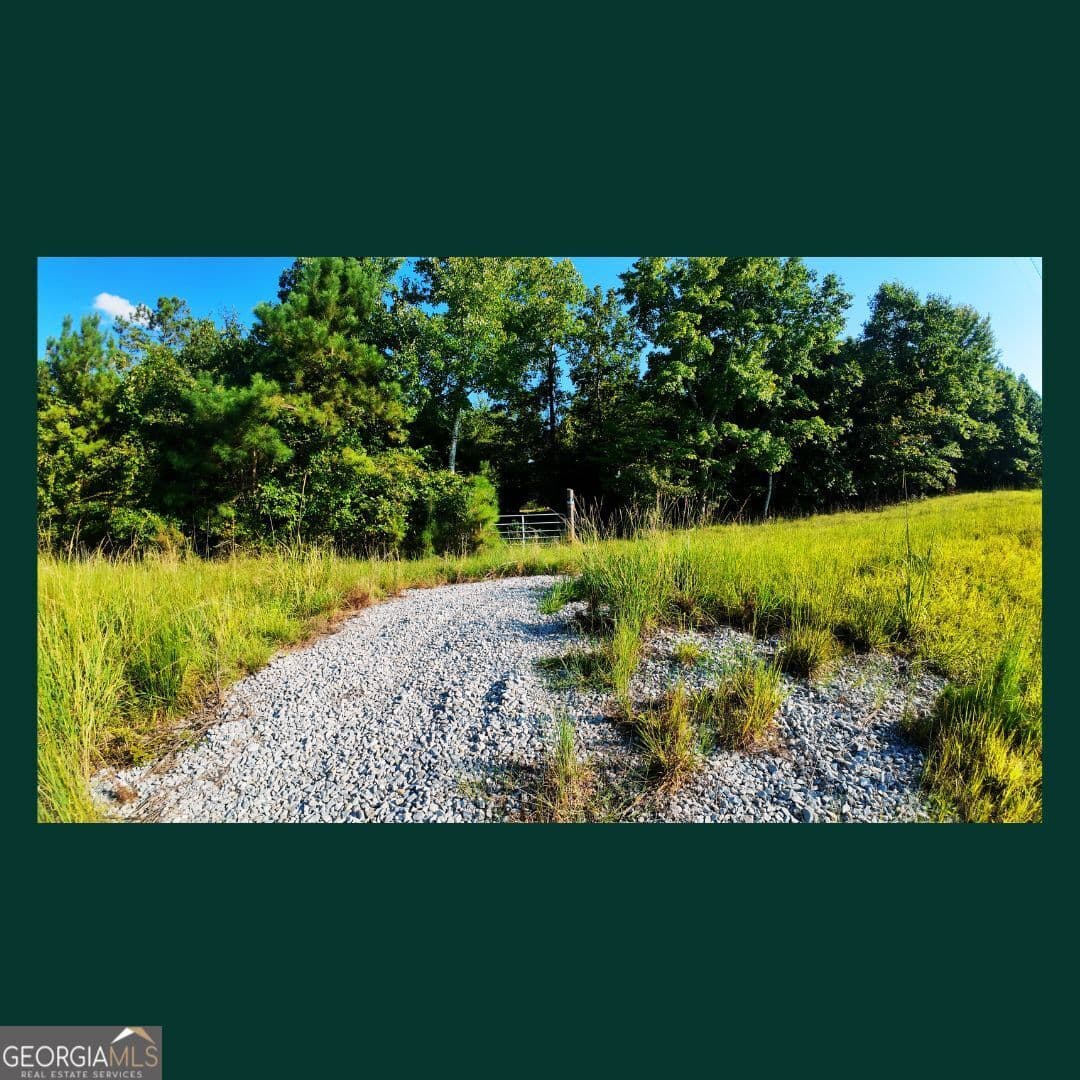 agriculture for sale at 0 Gill Point Road, Tignall, GA 30668 — photo 5