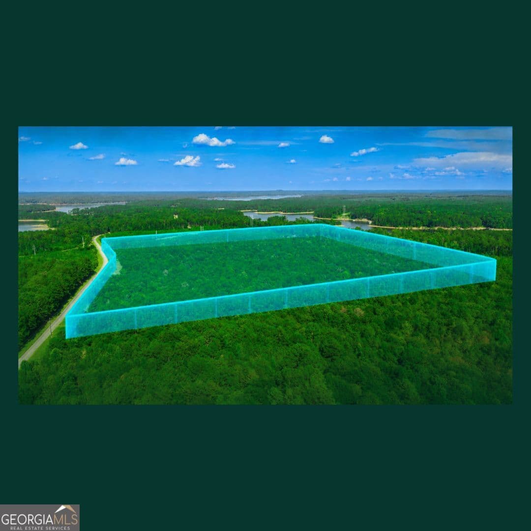 agriculture for sale at 0 Gill Point Road, Tignall, GA 30668 — photo 9