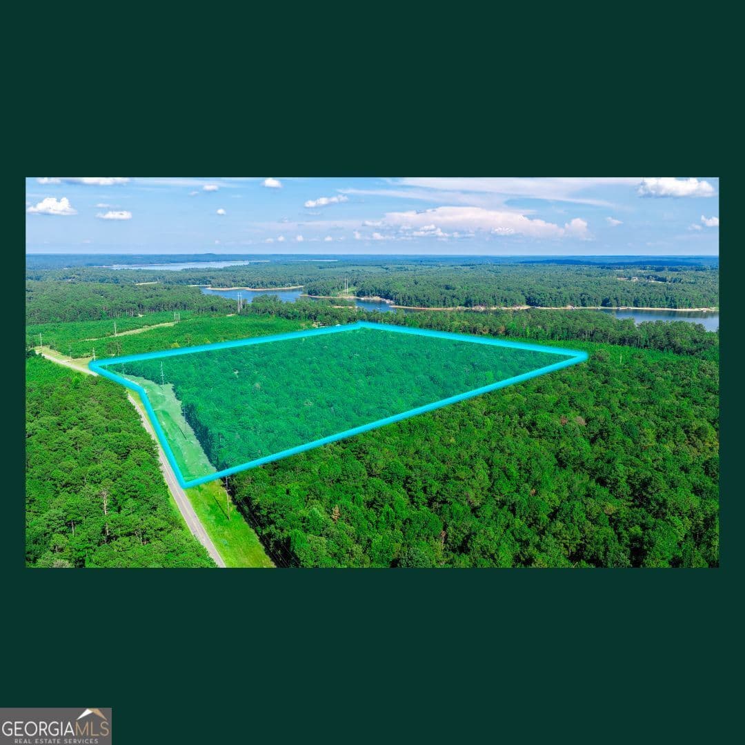 agriculture for sale at 0 Gill Point Road, Tignall, GA 30668 — photo 10