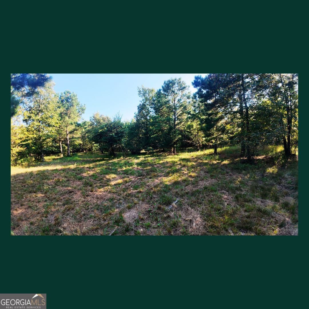agriculture for sale at 0 Gill Point Road, Tignall, GA 30668 — photo 4