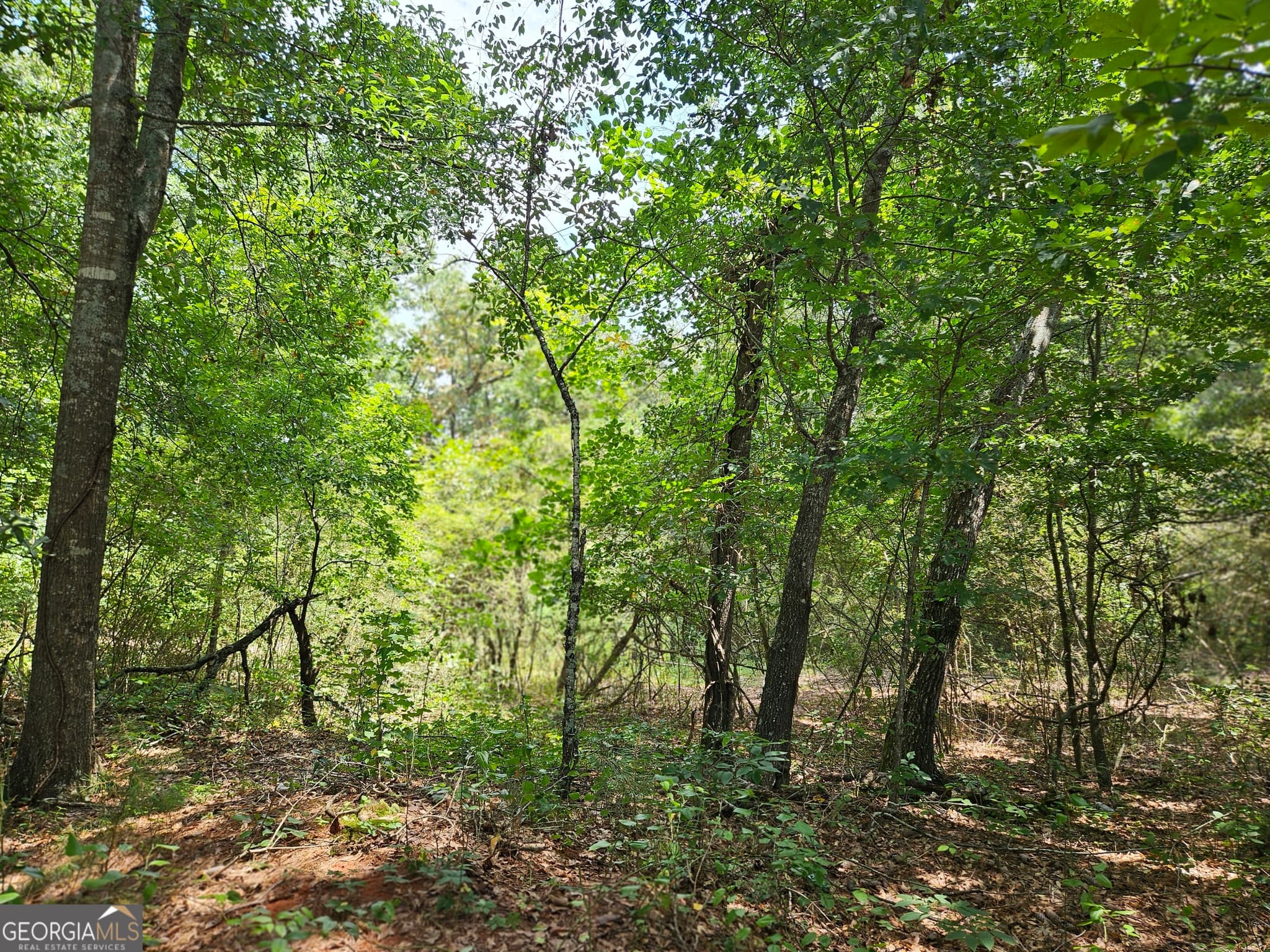 estate lot for sale at LOT 4 June Ivey Road, Bethlehem, GA 30620 — photo 2