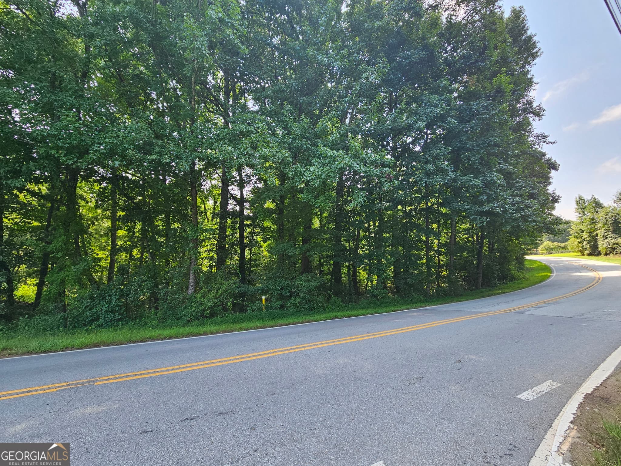 estate lot for sale at LOT 4 June Ivey Road, Bethlehem, GA 30620 — photo 6