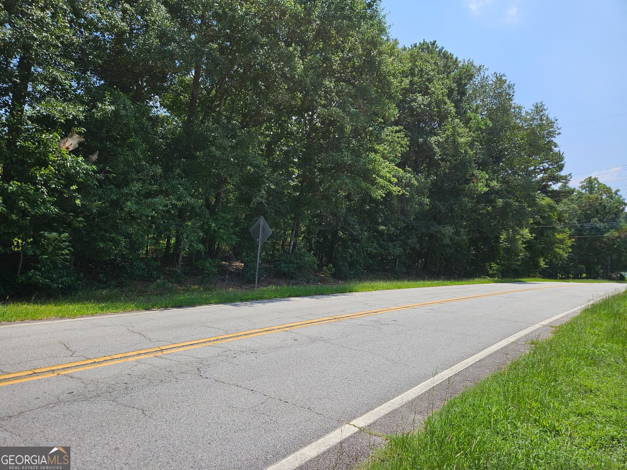estate lot for sale at LOT 4 June Ivey Road, Bethlehem, GA 30620 — photo 7