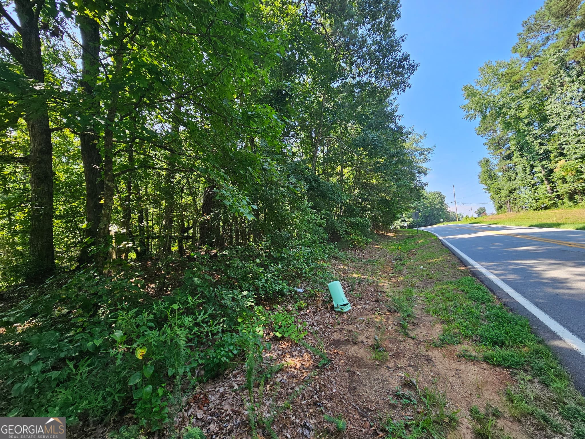 estate lot for sale at LOT 4 June Ivey Road, Bethlehem, GA 30620 — photo 3