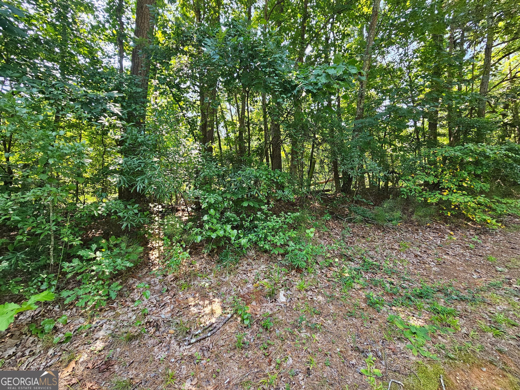 estate lot for sale at LOT 4 June Ivey Road, Bethlehem, GA 30620 — photo 1 of 18