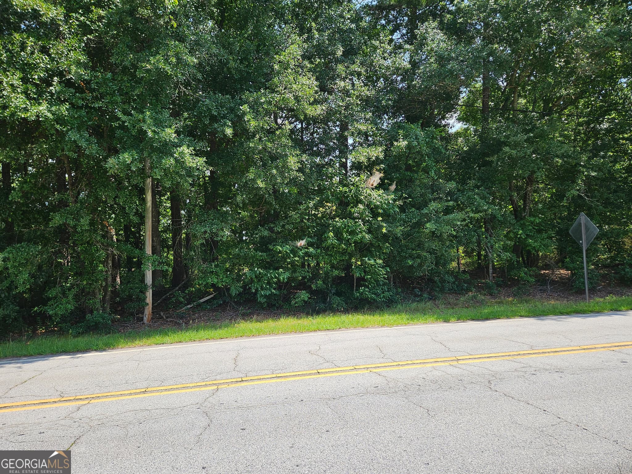 estate lot for sale at LOT 4 June Ivey Road, Bethlehem, GA 30620 — photo 9
