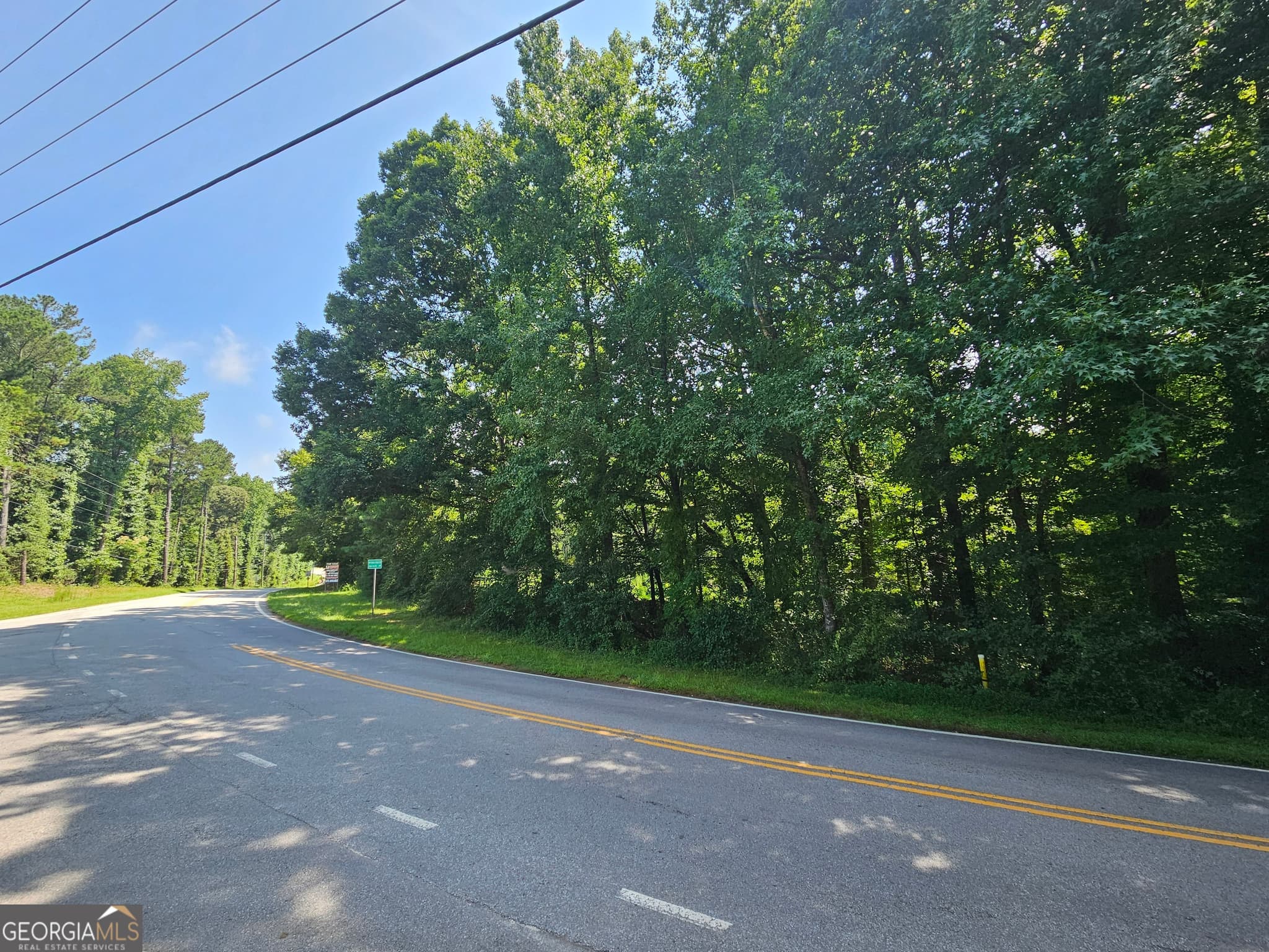 estate lot for sale at LOT 4 June Ivey Road, Bethlehem, GA 30620 — photo 4