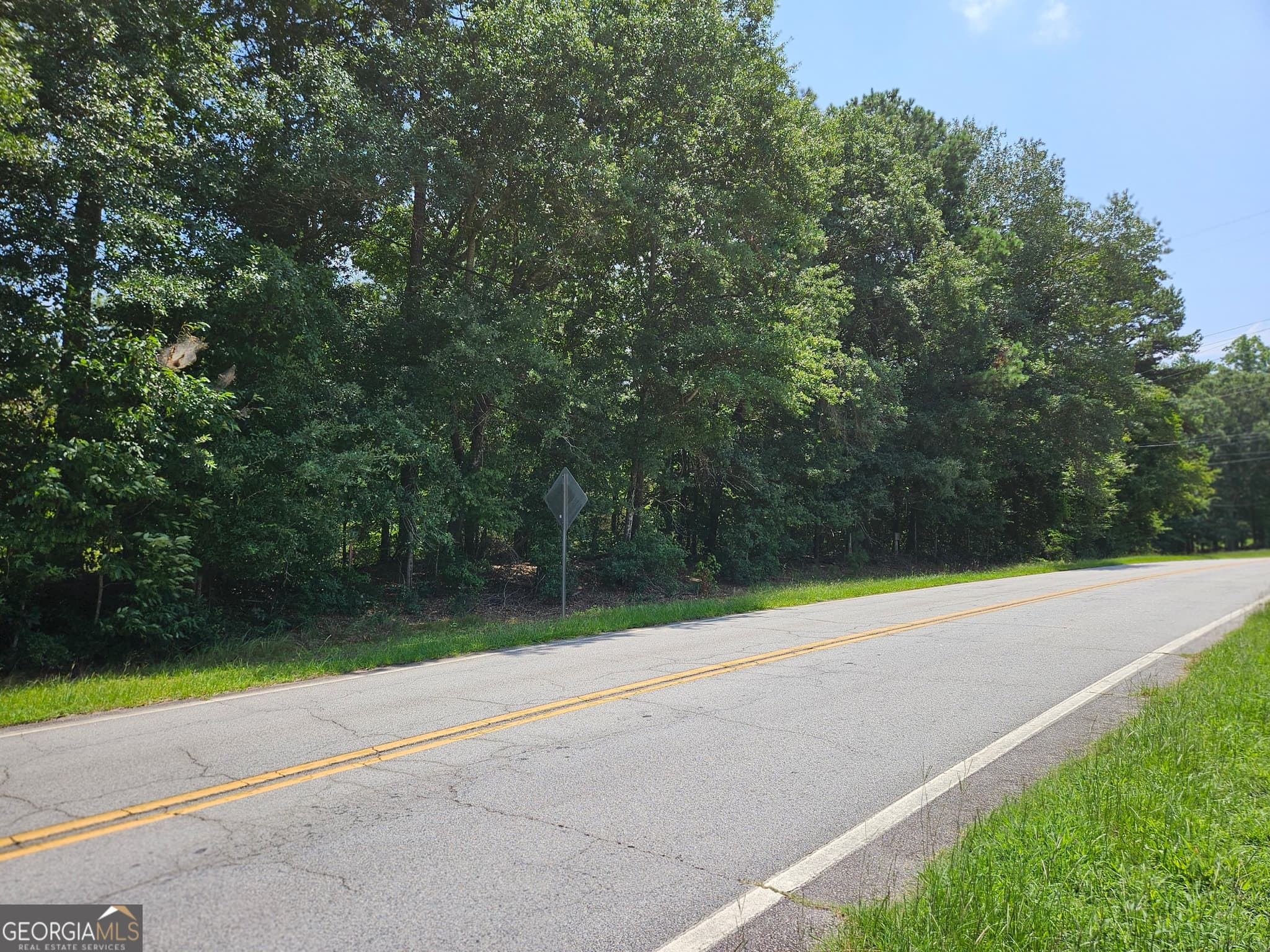 estate lot for sale at LOT 4 June Ivey Road, Bethlehem, GA 30620 — photo 8
